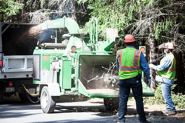 Best Weed Control  in Essexville, MI